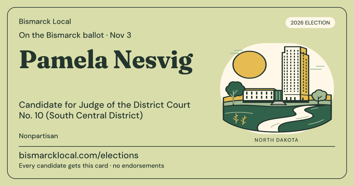 Pamela Nesvig, Judge of the District Court No. 10 (South Central District), November 3, 2026 — Bismarck Local candidate card